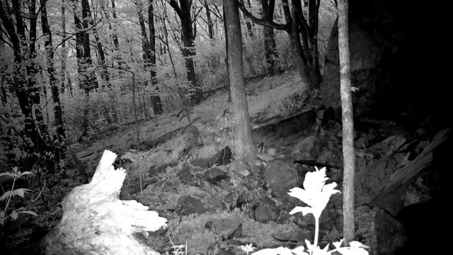 F8b697e83c124557b23ea007ae538c47