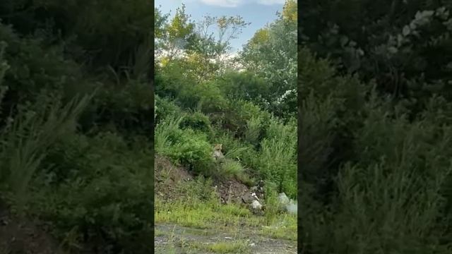 Adfe51a5b5f1356b5922be24bb0b8857