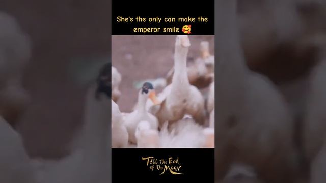 VID_20241014_105749_618.mp4