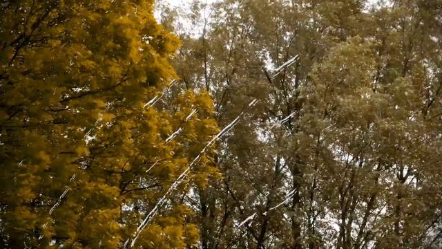 Дважды лето.Клип.NICK VIDEOstudio