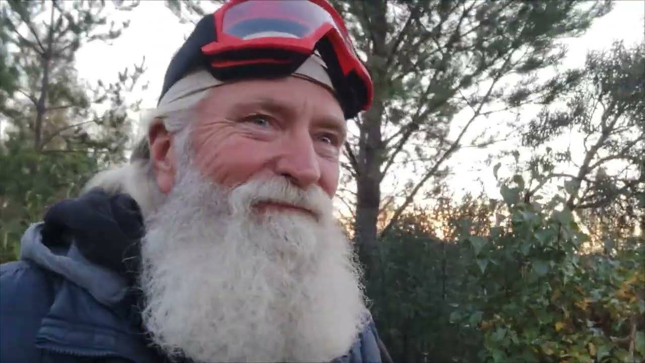 Вы забудете про болезни, если пить чай из листьев этого кустарника