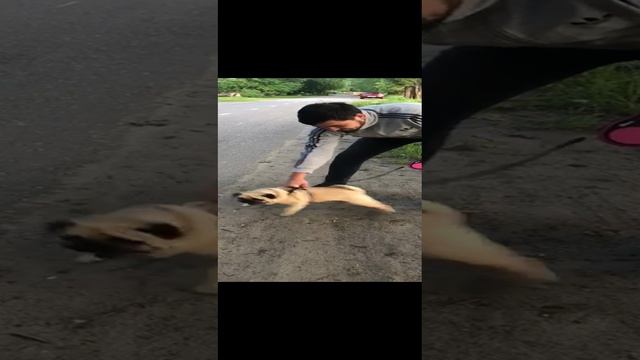 Всех порву.