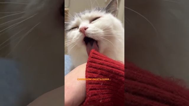 снимаем окатышки...