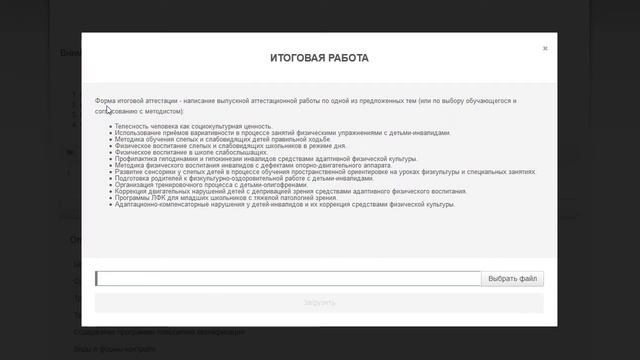 Выпускная аттестационная работа