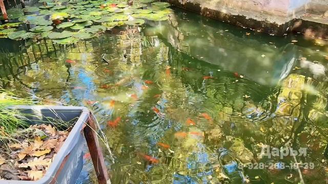 Усадьба в Краснодарском крае