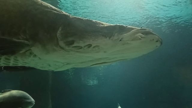 202e5c00468ec5cf9e96ca06de98f80d