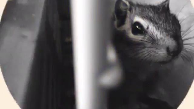 B5bee9f64e39d0dabf5f2fbd2bd441cd