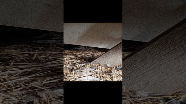 В очередь .... дети, в очередь!👋