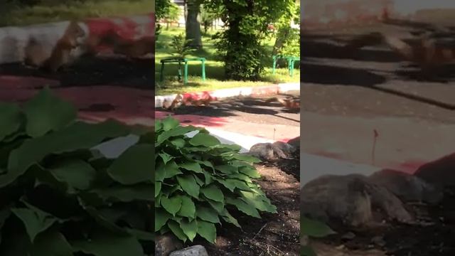 D01a68aa4e91826786970f8a7245eb89