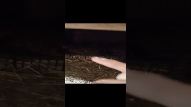 Каждый на своём месте!😂