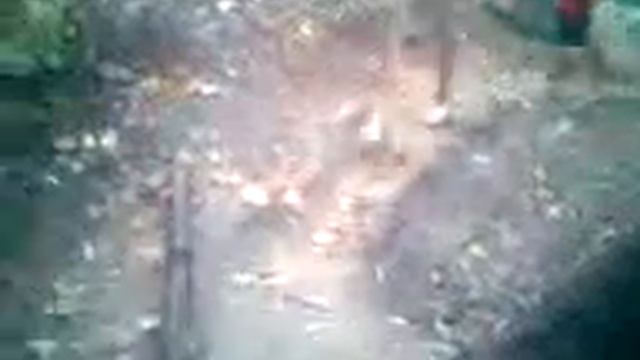 И зачем они ему? часть2