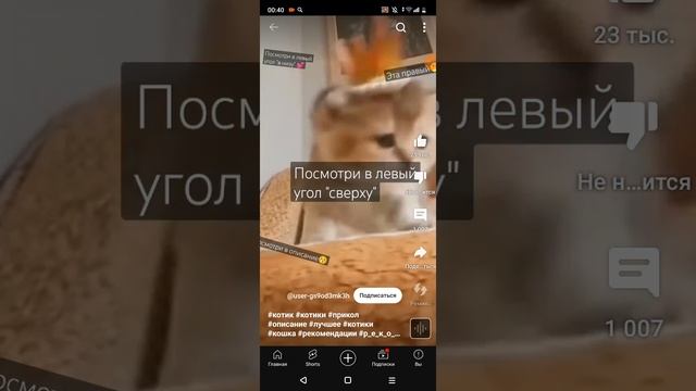 просто кайф