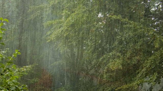 Forest Song (Long Ver.) - Relax/ Nature Sound/Stress Relief/Музыка для сна/Исцеление/Звуки природы