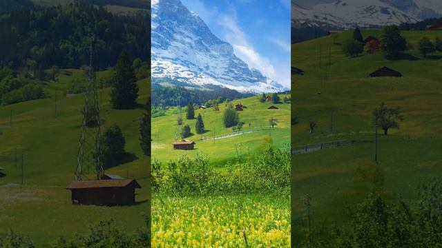 Morning World - #shorts  #relaxingmusic #meditation #morningmusic #stressrelief Relief#happiness