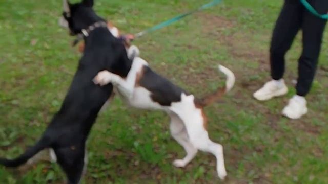 Cff311501d3638fc4830dd3df658625a