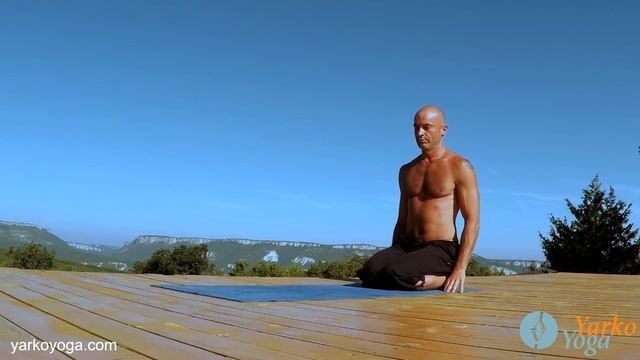 Чатуранга Дандасана. Йога для начинающих.Ярослав Лукашевич