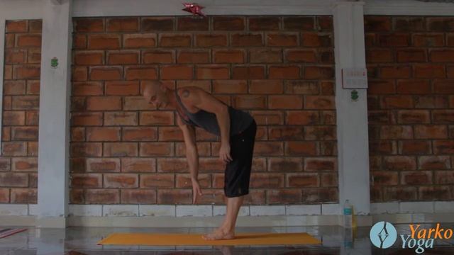 Принципы сохранения баланса. Йога для начинающих,Ярослав Лукашевич