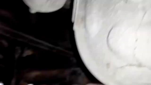 Automotive Enthusiast Extraordinaire