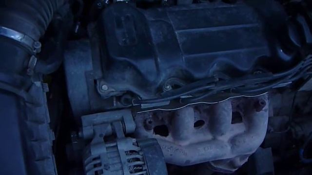 Love And The Open Seas