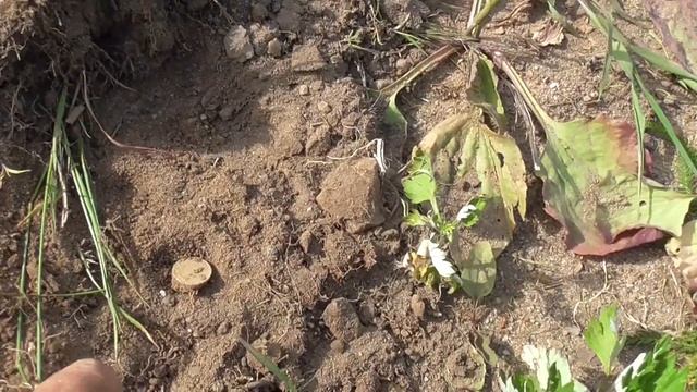 Сюрпризы на деревенских дорогах. С Deus 2.