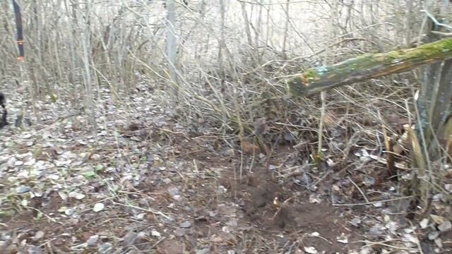 Весенний шурф.