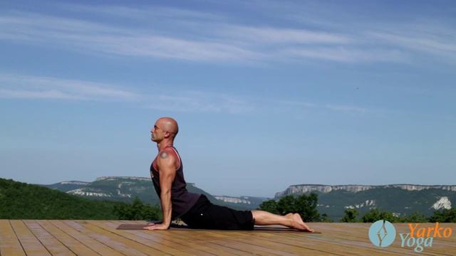 Урдхва и Адхо Мукха Шванасана.Собака мордой вверх, собака мордой вниз.Ярослав Лукашевич