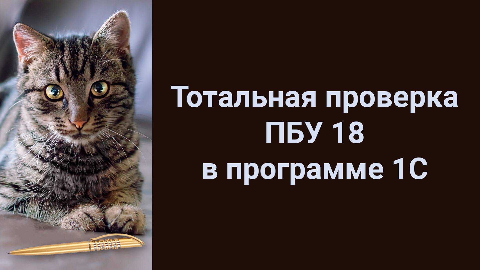 Тотальная проверка ПБУ 18/02 в программе 1С (ПОЛНАЯ ВЕРСИЯ, 4 части)
