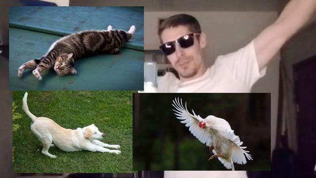 E07efa0c5fd88b86edd8792f9703c827