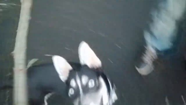 6db560c18904fcde29ca99f0043f6e78