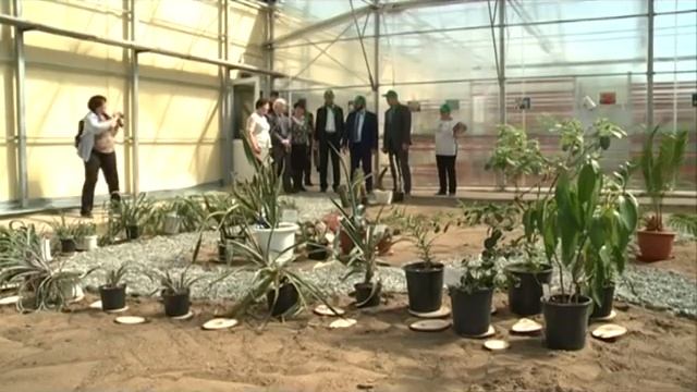 18 05 2018 Молодёжный эко-субботник «Зелёная весна» прошёл в Ижевске