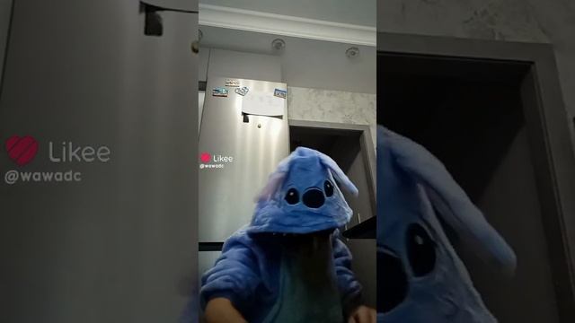 СИНИНЬКИЙ СТИЧ