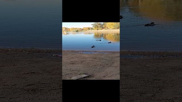 Верхнее суздальское озеро.СПБ.