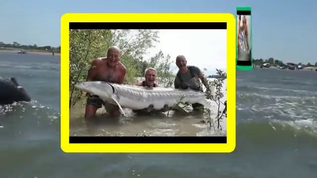 Корайновочка