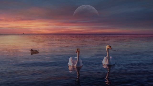 Debussy Clair de lune 1 hour pianoflute versions for deep sleep relaxation healing piano