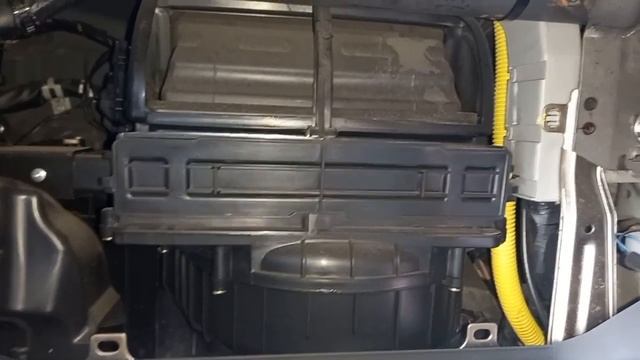 Ирина Малахит