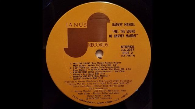 Harvey Mandel - Feel The Sound