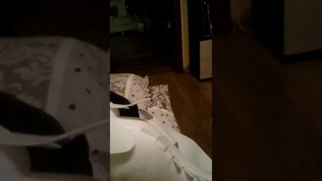 Мне купили беззубика и дневную фурию