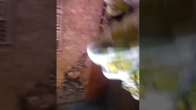 Как вызвать зомби
