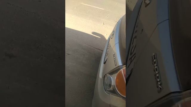 Смешной-Шофер