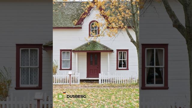 Краска для дерева (белая база) Dusberg Art.3131 #маслодлядерева  #покраситьдом #shorts