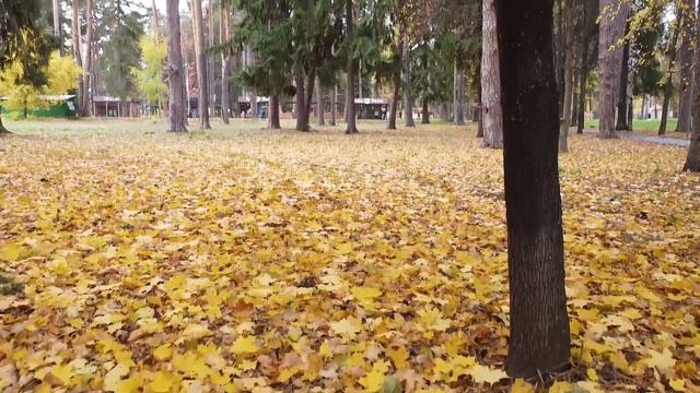 2f45f0c911e082238a350609d14c24ee