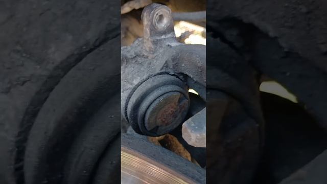 Скрытые таланты