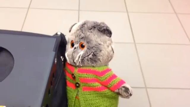 Басики в 🇪🇪 Эстонии! 4 часть