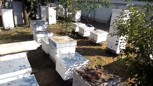 1f62b848f27da798d6daafae5a25854e