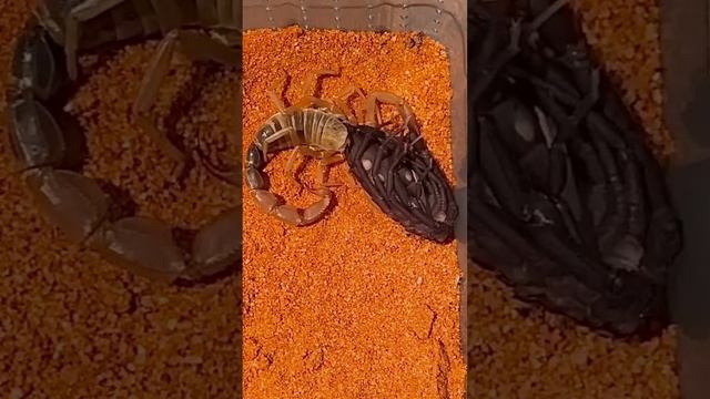 Fd3e7f2e098b2537c9049b5836777822