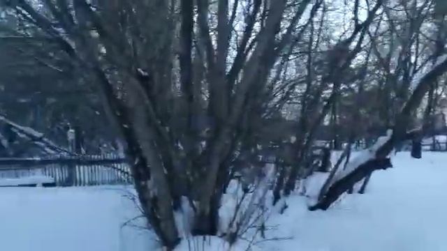 Гуляю вокруг школы, детского сада и администрации села Ламаново