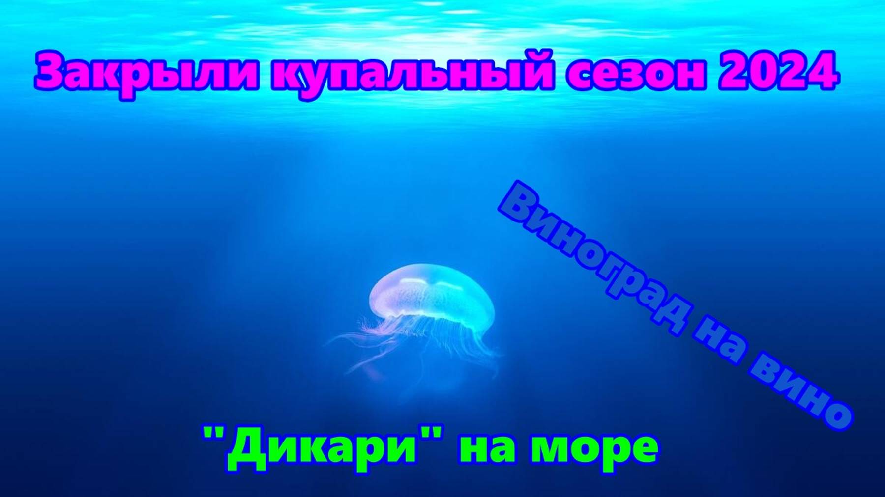 Вино,Море,Закрыли купальный сезон
