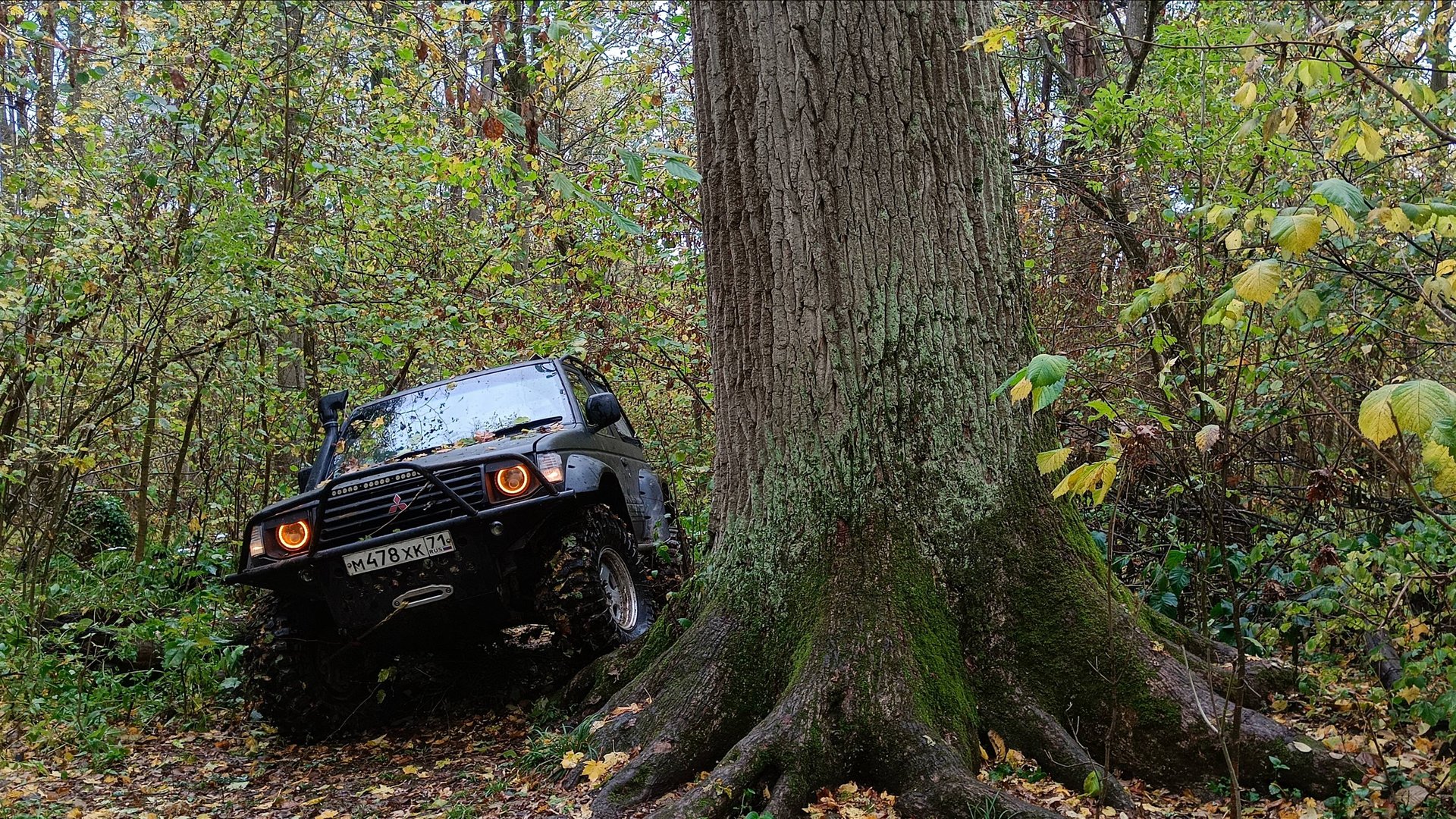 Вид с крыши Паджеро 2 по лесным горкам