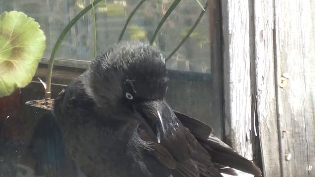 Df89df8156f7d1322a01b5ad7aaad5b0