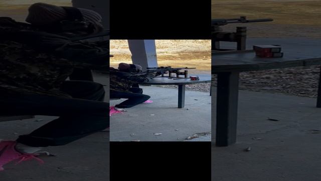 Сайга 308 ПиуПиу